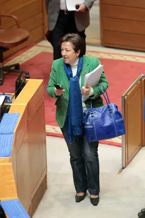 Pilar Farjas, durante el Pleno. 