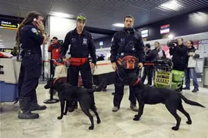  Un equipo de bomberos españoles, listo para salir rumbo a Haití. 