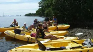 Se utilizaron varios kayak para esta jornada en la bahía de Miami.