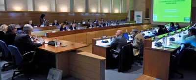  Un momento del plenario del Consejo.