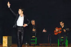 El bailaor Alberto Márquez en plena actuación.