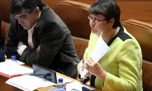 Marisol Soneira, durante una sesi&oacute;n plenaria en el Parlamento de Galicia.