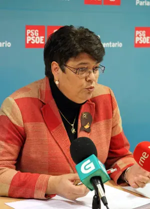 Marisol Soneira, en la rueda de prensa que ofreci&oacute; en el Parlamento. 