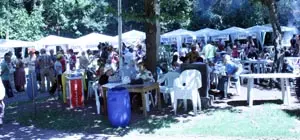  Vista parcial con los estands de comidas en el fondo.