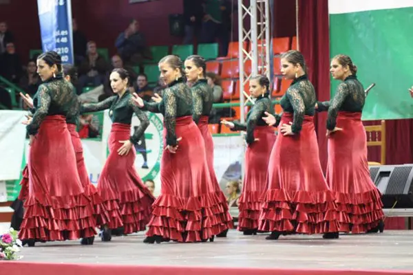 ACTO INSTITUCIONAL. UNA DE LAS ACTUACIONES.