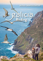 Galicia Birding