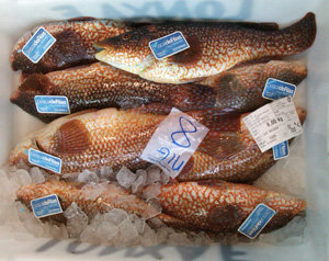 10.Etiquetado pescadeRias7