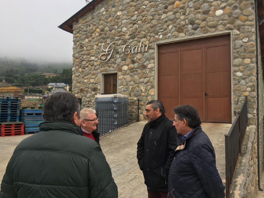 Ourense Exportación 3