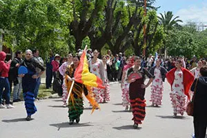 saldunga colectividades 19 11 5