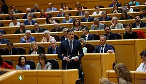 Pedro Sánchez en el Senado1