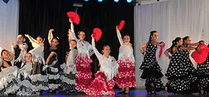 Asociacion Española de Olivia7
