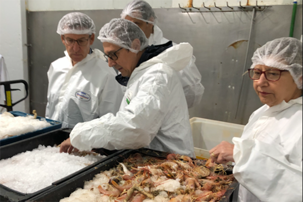 En Estrella Patagonica45