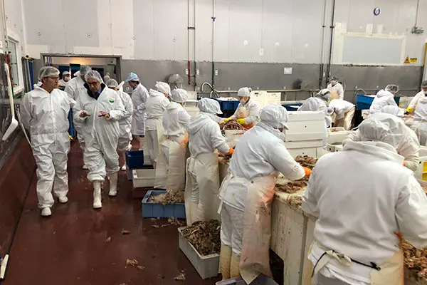 En Estrella Patagonica63