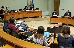 271119 Miranda Parlamento