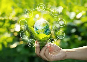 Hand holding light bulb against nature on green leaf with icons energy sources for renewable, sustainable development. Ecology concept. Elements of this image furnished by NASA.