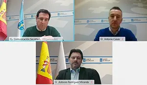 WEBINAR AXUDAS FUNCIONAMENTO 1