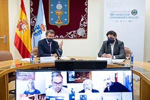 O titular do Goberno galego, Alberto Núñez Feijóo, participa por videoconferencia na clausura do encontro da Comisión Delegada do XXII Consello de Comunidades Galegas. Na sala de reunións da área de Goberno (Pazo do Hórreo. Parlamento de Galicia () , 21/12/20.