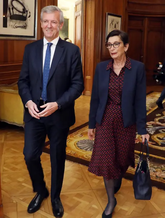 El presidente de la Xunta de Galicia, Alfonso Rueda, durante la recepcion en ofrecida por la embajadora de España en Argentina.