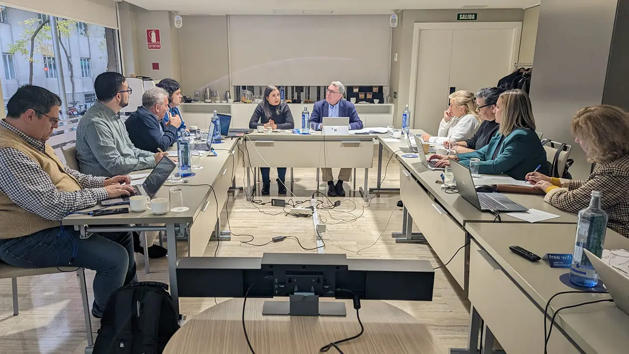 Comisión Permanente del CGCEE 2