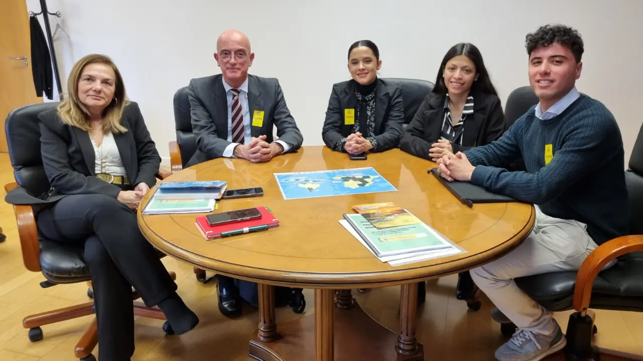 Proyecto Arraigo