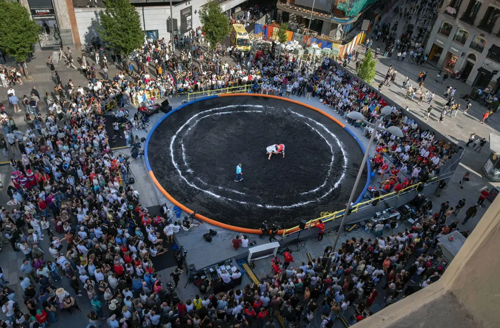Madrid-Lucha canaria 3