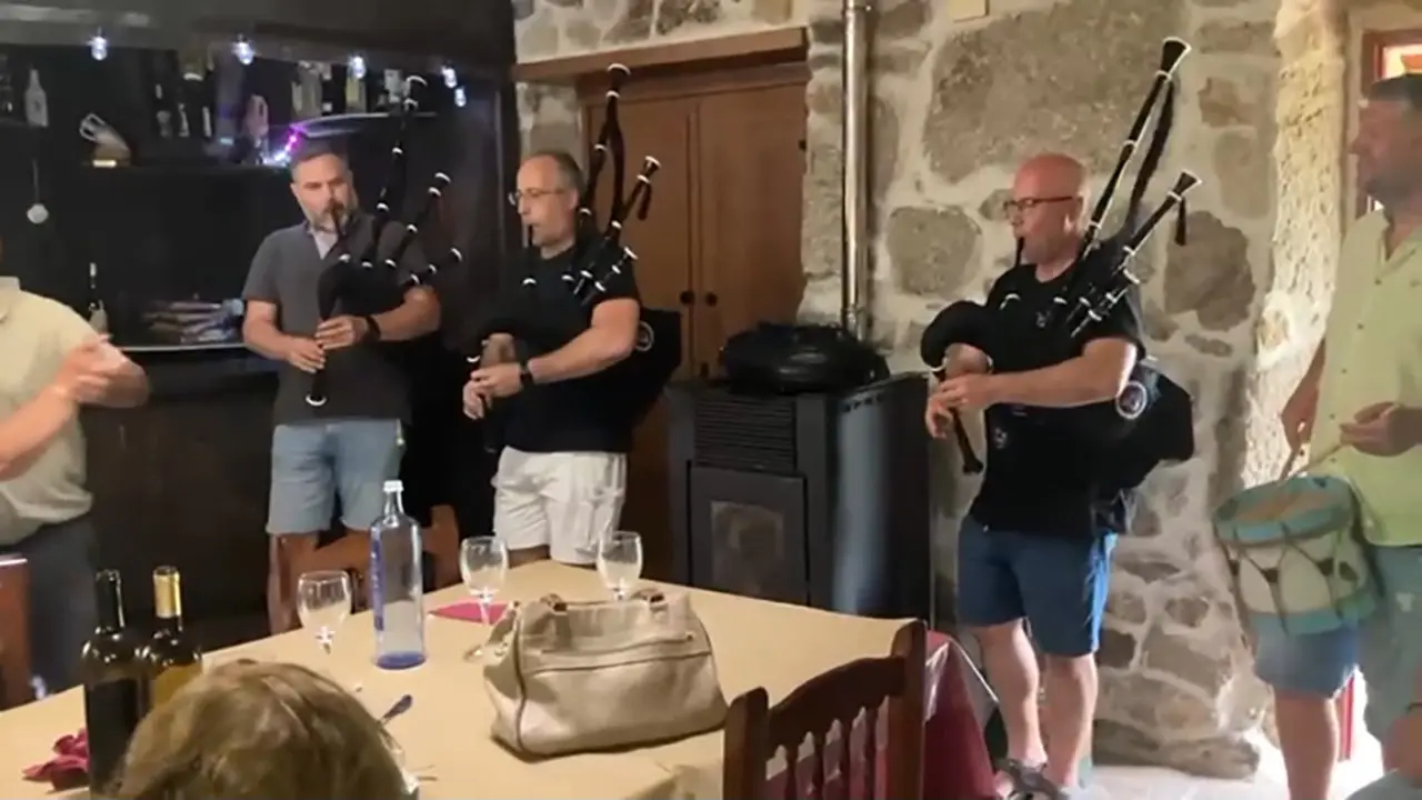 Toxos e Xestas 4
