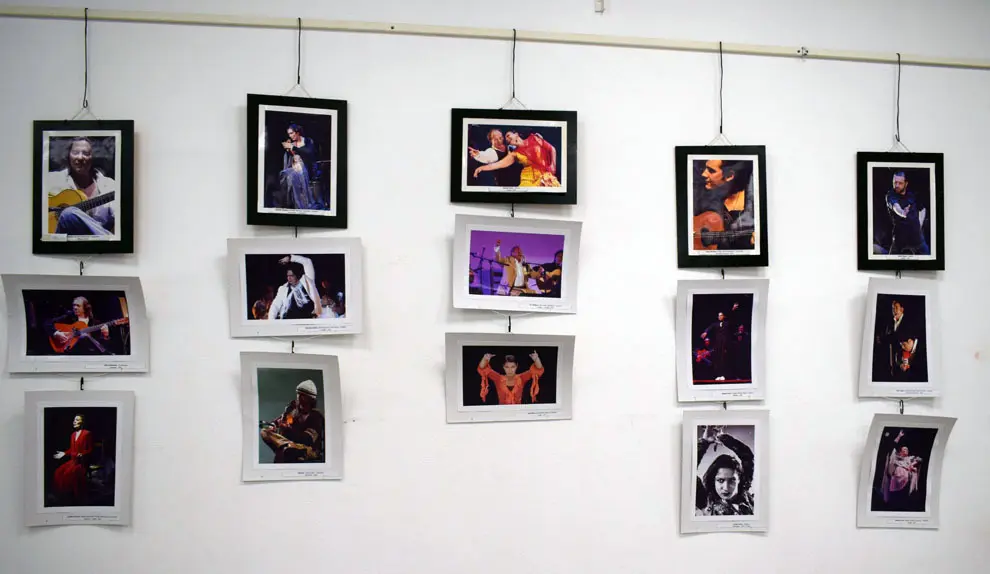 Centro Bahia Blanca-Dia Flamenco 2