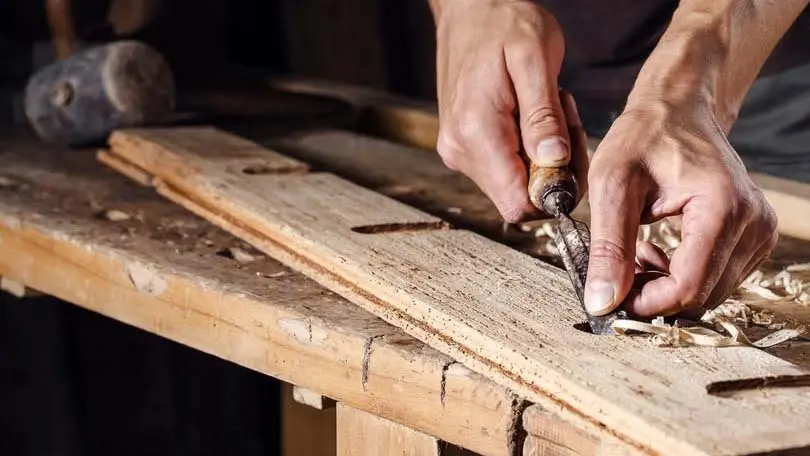 Closeup of a carpenter hands working with a chisel and carving tools on wooden workbench
