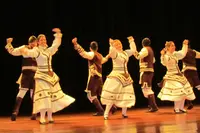 MEDALLAS EMIGRACION HGV 2014 12