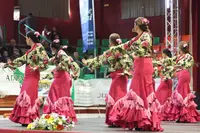 ACTO INSTITUCIONAL. UNA DE LAS ACTUACIONES....