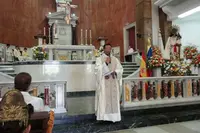 VIRGEN DEL DESAMPARATS 2015 8