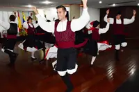 HGV DIA DA PATRIA GALEGA 2017 12