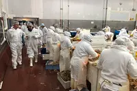 En Estrella Patagonica63