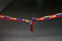 INAUGURACI&Dagger;N FES DIC 2021 9