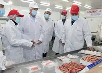 Puerto Deseado Argenova 1