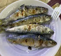 SAN XOµN CGPLC 2024 12