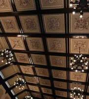 Uru-Centenario CG-techo