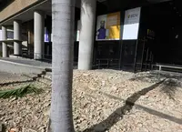 Venezuela-Destrozos Consulado 1