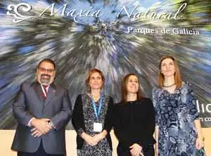 11.Medio Ambiente-fitur