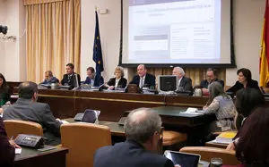 Defensora del Pueblo en Congreso1