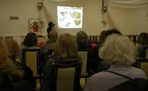 cast y leon bahia alimentacion