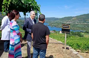 110816 Conde adega Campante 1