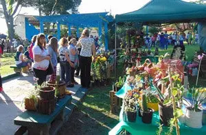 santa rosa colectividades 8 12