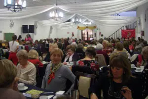 cast y leon bahia te 29 4