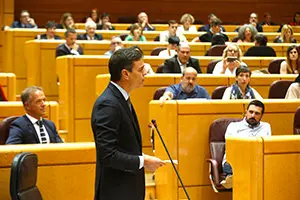 Pedro Sánchez en el Senado