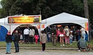 necochea colectividades 17 1