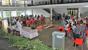 VIRGEN DE CANDELARIA EL TIGRE 2019 1