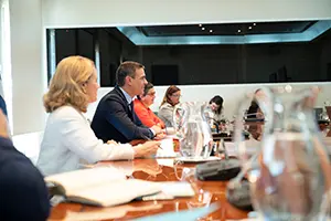 Reunión 2 P Sánchez