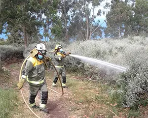 12.formacion incendios