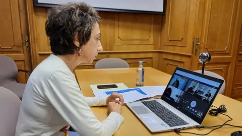 Webinario Subdirectora de Retorno